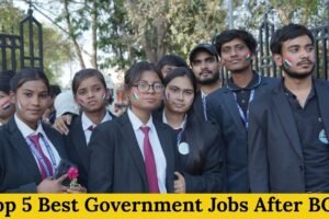 Top 5 Best Government Jobs After BCA